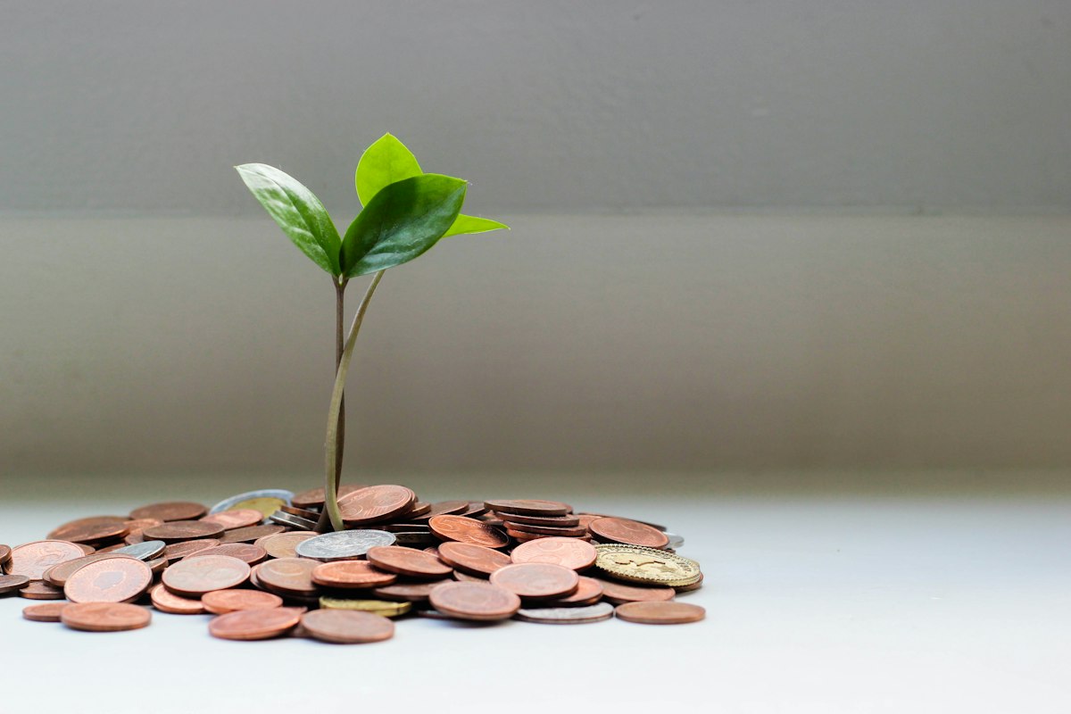 Personal finance management tools showing savings growth, compound interest planning, and emergency fund budgeting